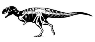 Eoabelisaurus-mefi-4.jpg
