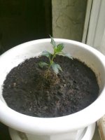 290520121389.jpg