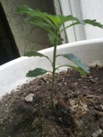 300520121392.jpg