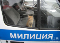 м2.png