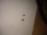IMG_20120605_181933.jpg