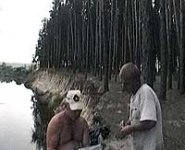 tet006.jpg