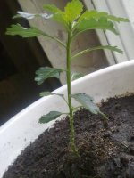 070620121412.jpg
