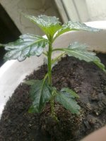 070620121426.jpg