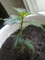 070620121428.jpg