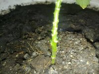 070620121414.jpg