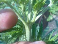 09062012401.jpg