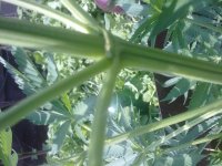 09062012402.jpg