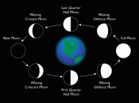 moon-phase-12l7i25.gif