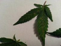 20170319_213614.jpg