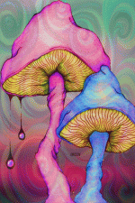 110559_original.gif 110559_original.gif