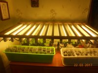 DSCN4267.JPG