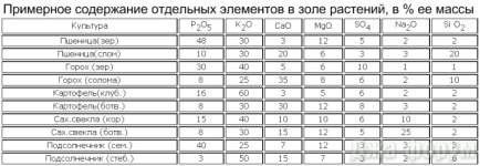 Зола.jpeg
