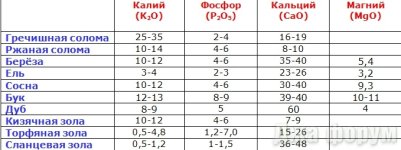 Пепел.jpeg