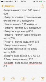 IMG_2308.PNG