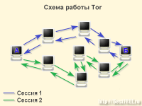 Darknet_3.png