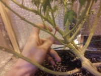 20170324_104520_Burst01.jpg