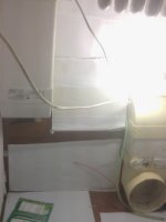 IMG_20170325_152428.jpg