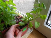DSCN4060.JPG