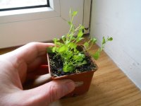 DSCN4062.JPG