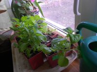 DSCN4063.JPG