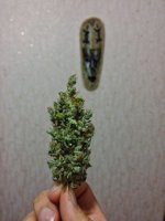 20170328_194935-01.jpeg