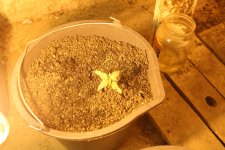 IMG_7786.JPG