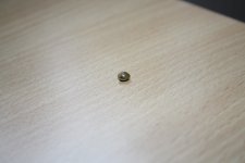 IMG_7803.JPG