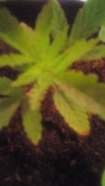 20170330_214634.jpg 20170330_214634.jpg