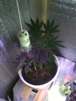 IMG10470.jpg