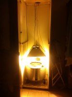 IMG_20170401_225318.jpg