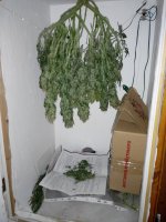 2017222160131.jpg