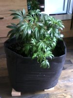 IMG10494.jpg