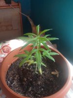 2017-04-05 12-11-39.JPG