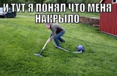 68179921.f.800.800.0.jpg