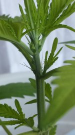 20170405_142706.jpg