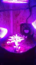 20170406_052229.jpg