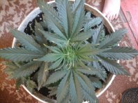 20170406_180739.jpg
