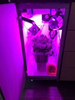 20170404_113029406_iOS.jpg