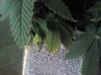 20170408_090328.jpg