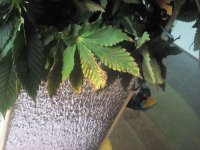 20170408_090347.jpg