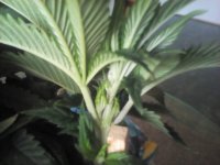 20170408_090534.jpg