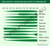 589508aa2858c5c96745ef49cea6db80.jpg