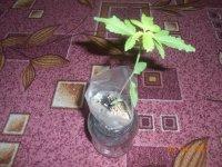 2017-04-08 23-55-36.JPG