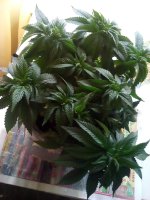 20170409_092450.jpg