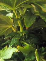 20170409_092538.jpg