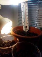 IMG_20170409_183605.jpg
