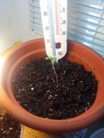 IMG_20170409_183614.jpg