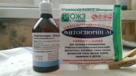 IMAG0759.jpg