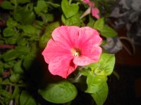 DSCN4072.JPG
